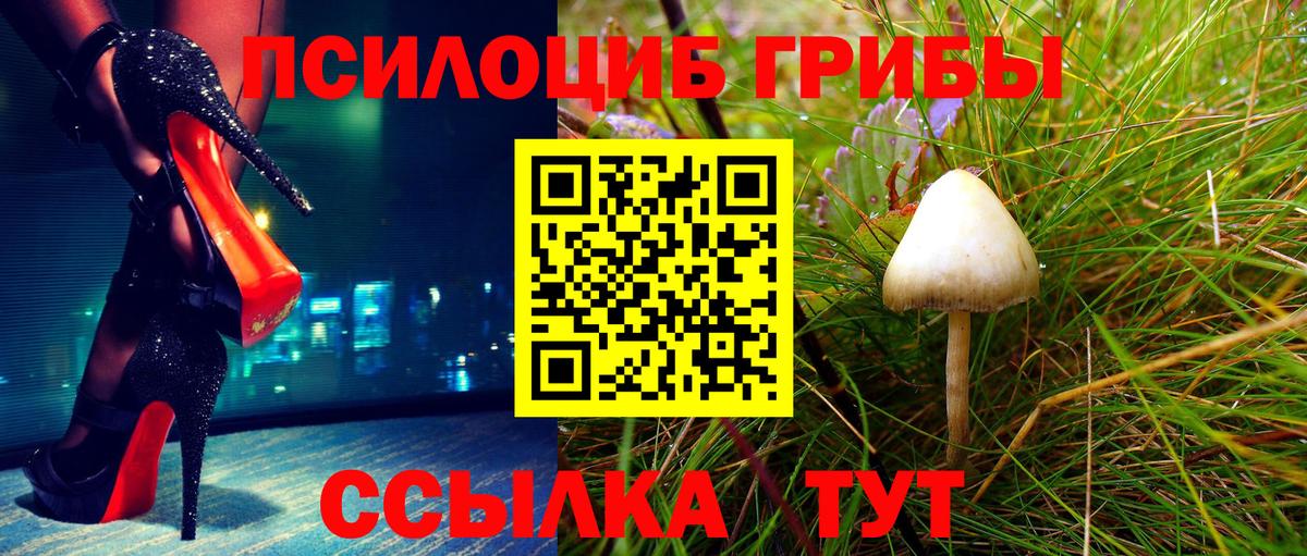 Галлюциногенные грибы Psilocybine cubensis Кувандык