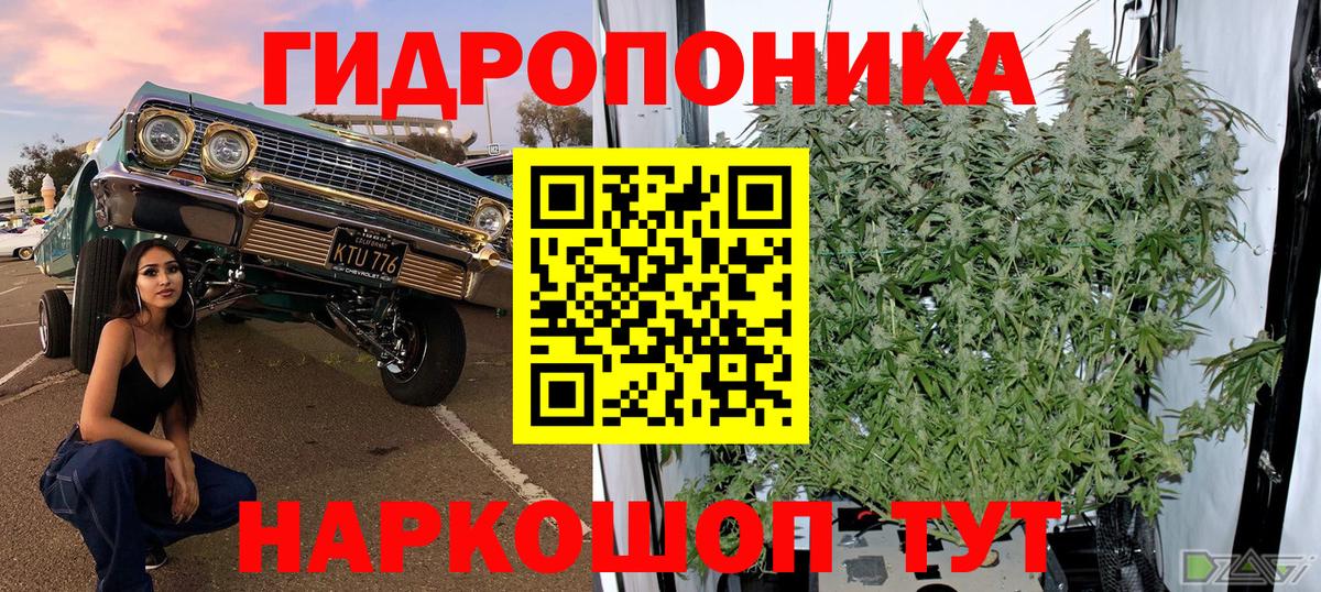 Каннабис OG Kush  Бошки Шишки тримм  Вход с VPN  Канабис план  Кувандык  Канабис Bruce Banner 